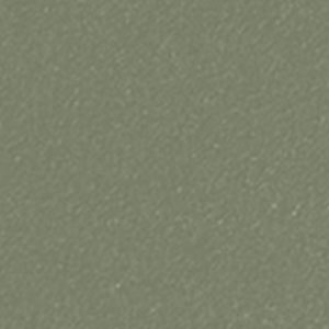 Linoleum Olive