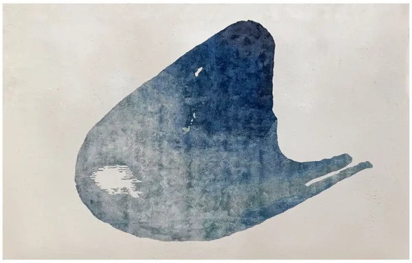 Cappellini-teppich-Satyendra-Pakhalé 