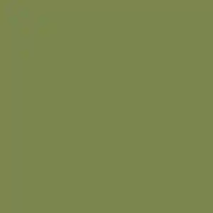 Alge