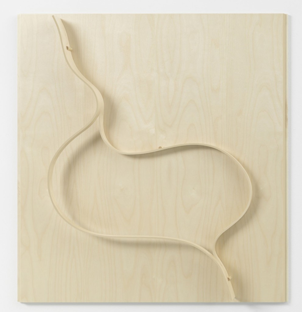 Experimental_Wood_Relief