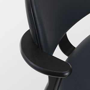 Gestell Birke schwarz gebeizt, Leder Marine, Keder Leder Schwarz